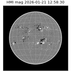 shmi - 2026-01-21T12:58:30.100000