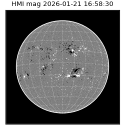 shmi - 2026-01-21T16:58:30