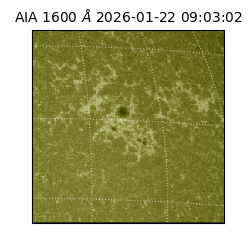 saia - 2026-01-22T09:03:02.118000