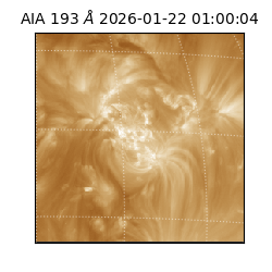 saia - 2026-01-22T01:00:04.843000