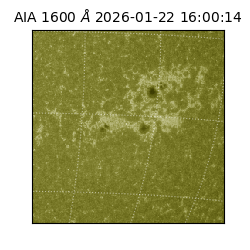 saia - 2026-01-22T16:00:14.125000