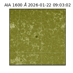 saia - 2026-01-22T09:03:02.118000