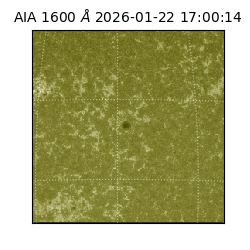 saia - 2026-01-22T17:00:14.125000