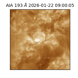 saia - 2026-01-22T09:00:05.467000