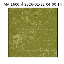 saia - 2026-01-22T04:00:14.126000