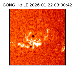 gong - 2026-01-22T03:00:42