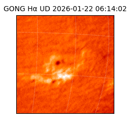 gong - 2026-01-22T06:14:02