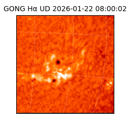 gong - 2026-01-22T08:00:02