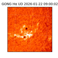 gong - 2026-01-22T09:00:02