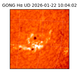 gong - 2026-01-22T10:04:02