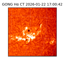 gong - 2026-01-22T17:00:42