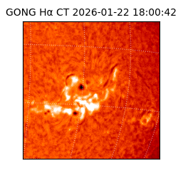 gong - 2026-01-22T18:00:42