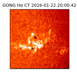 gong - 2026-01-22T20:00:42