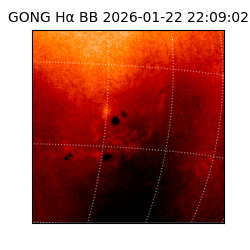 gong - 2026-01-22T22:09:02