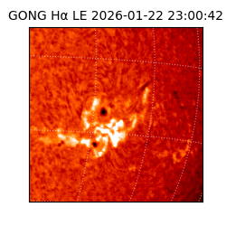 gong - 2026-01-22T23:00:42