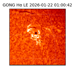 gong - 2026-01-22T01:00:42