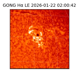 gong - 2026-01-22T02:00:42