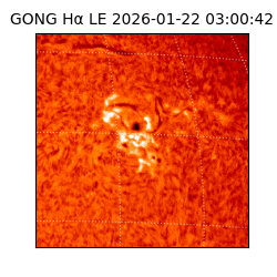 gong - 2026-01-22T03:00:42