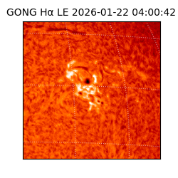 gong - 2026-01-22T04:00:42