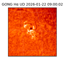 gong - 2026-01-22T09:00:02