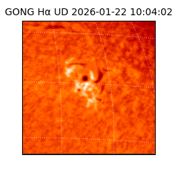 gong - 2026-01-22T10:04:02