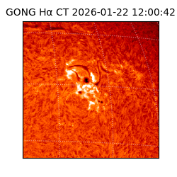 gong - 2026-01-22T12:00:42