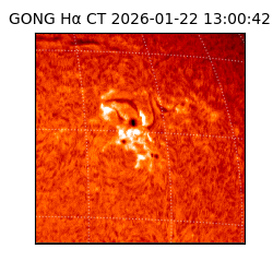 gong - 2026-01-22T13:00:42