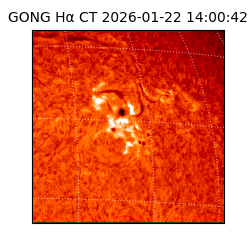 gong - 2026-01-22T14:00:42