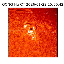 gong - 2026-01-22T15:00:42
