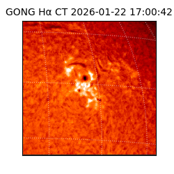 gong - 2026-01-22T17:00:42