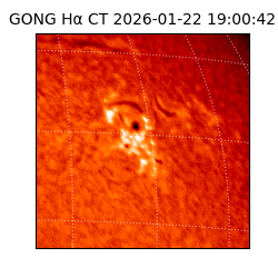 gong - 2026-01-22T19:00:42