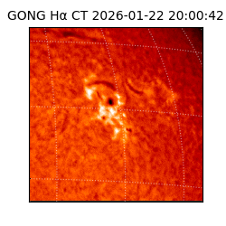 gong - 2026-01-22T20:00:42