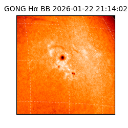 gong - 2026-01-22T21:14:02