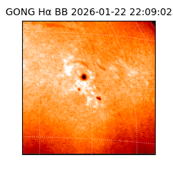 gong - 2026-01-22T22:09:02