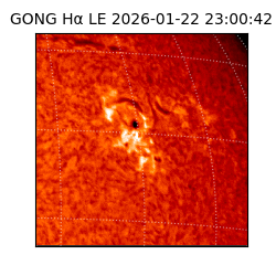 gong - 2026-01-22T23:00:42