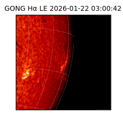 gong - 2026-01-22T03:00:42