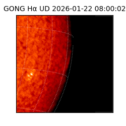 gong - 2026-01-22T08:00:02