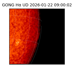 gong - 2026-01-22T09:00:02