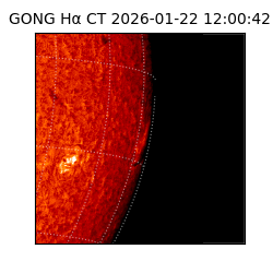 gong - 2026-01-22T12:00:42