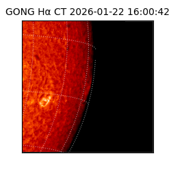 gong - 2026-01-22T16:00:42