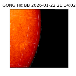 gong - 2026-01-22T21:14:02