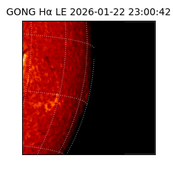 gong - 2026-01-22T23:00:42