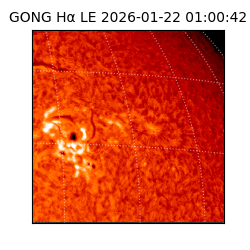 gong - 2026-01-22T01:00:42