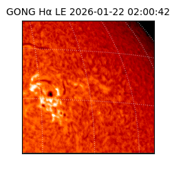 gong - 2026-01-22T02:00:42