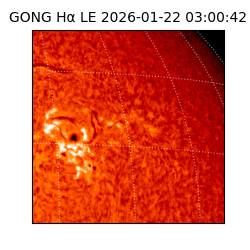 gong - 2026-01-22T03:00:42