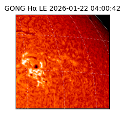 gong - 2026-01-22T04:00:42