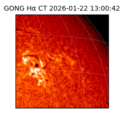 gong - 2026-01-22T13:00:42