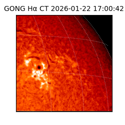 gong - 2026-01-22T17:00:42