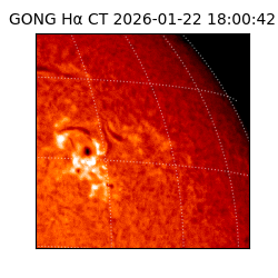 gong - 2026-01-22T18:00:42