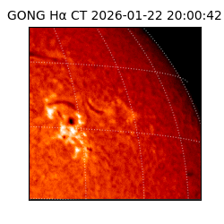 gong - 2026-01-22T20:00:42